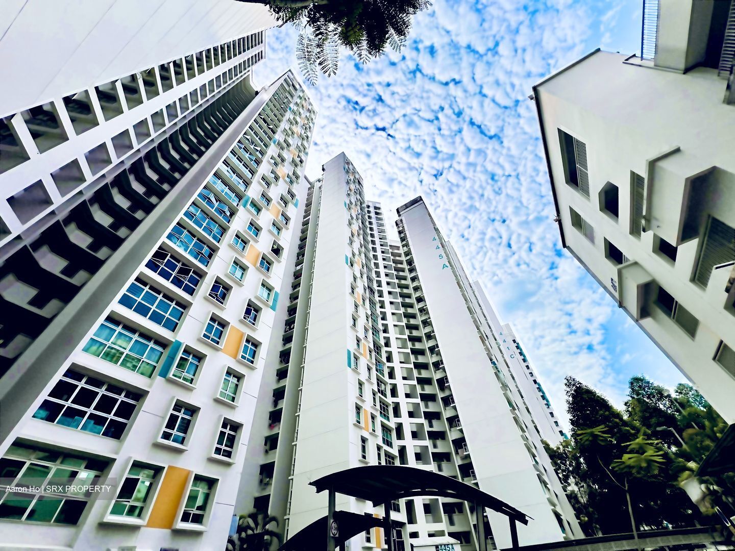 Blk 445B Fernvale Vista (Sengkang), HDB 4 Rooms #558739411